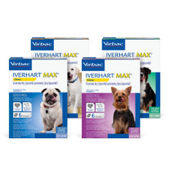 Iverhart for dogs top